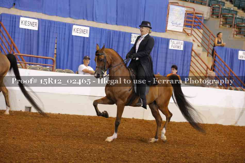 Proof Number 15R12_02465