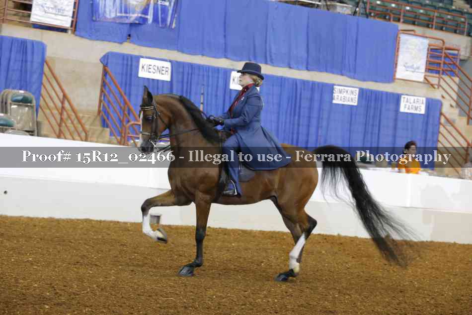 Proof Number 15R12_02466
