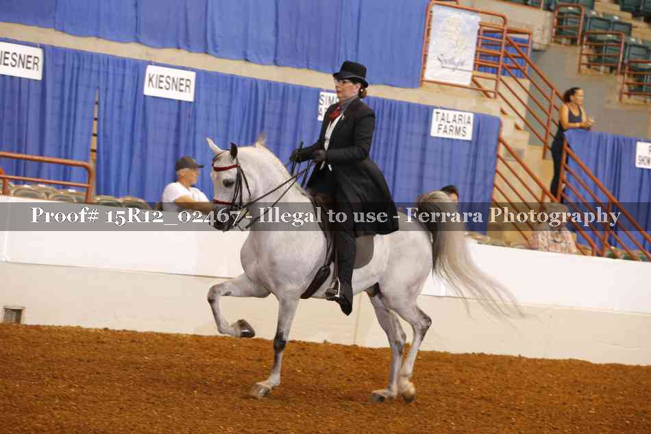 Proof Number 15R12_02467