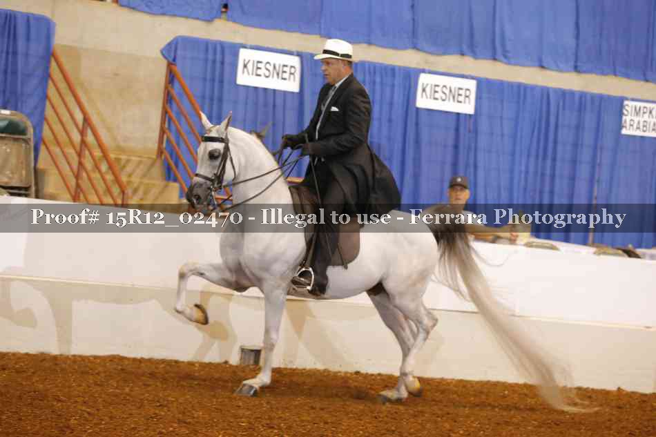 Proof Number 15R12_02470