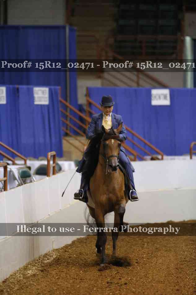 Proof Number 15R12_02471