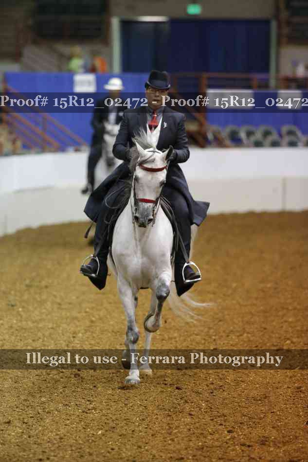Proof Number 15R12_02472