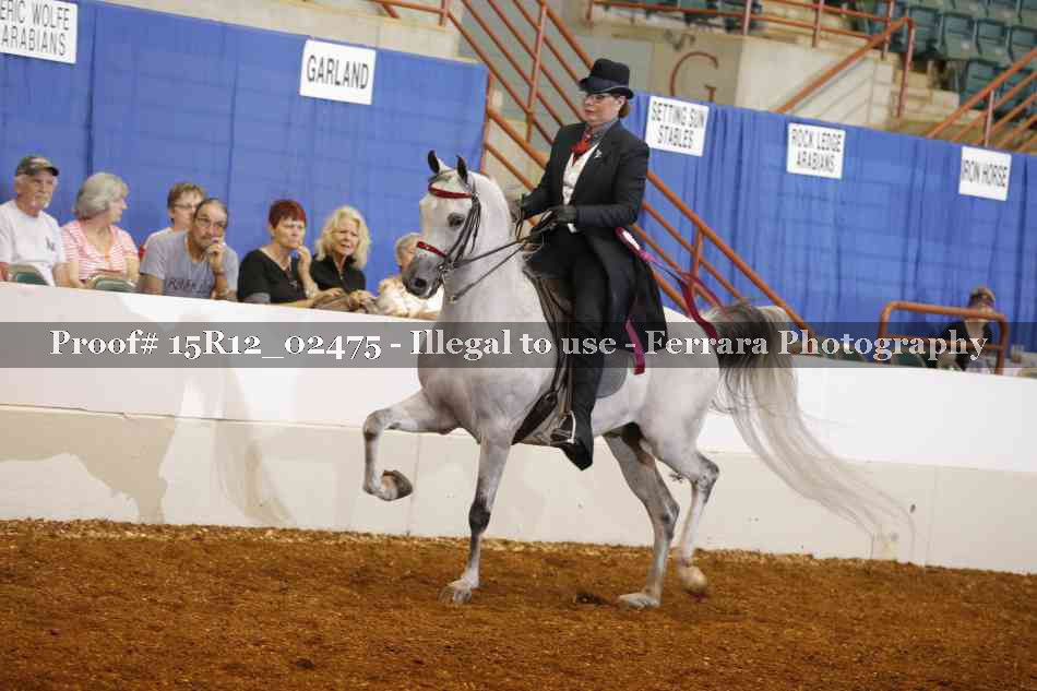 Proof Number 15R12_02475
