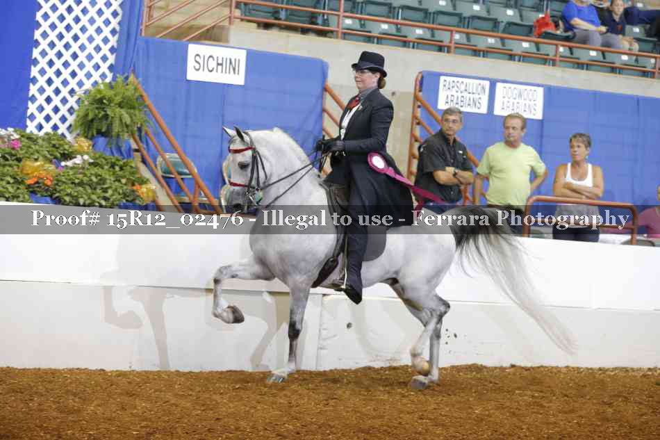 Proof Number 15R12_02476