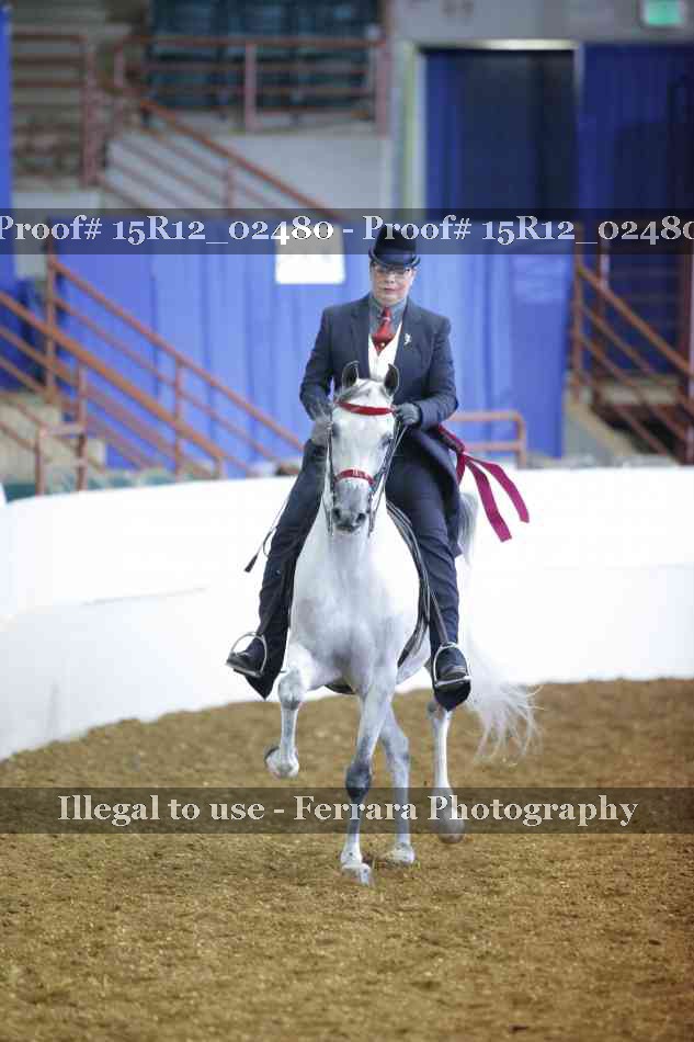 Proof Number 15R12_02480