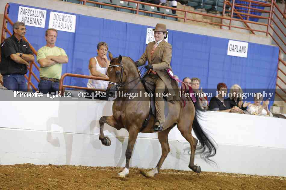 Proof Number 15R12_02482