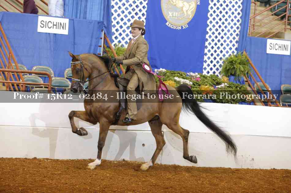 Proof Number 15R12_02484