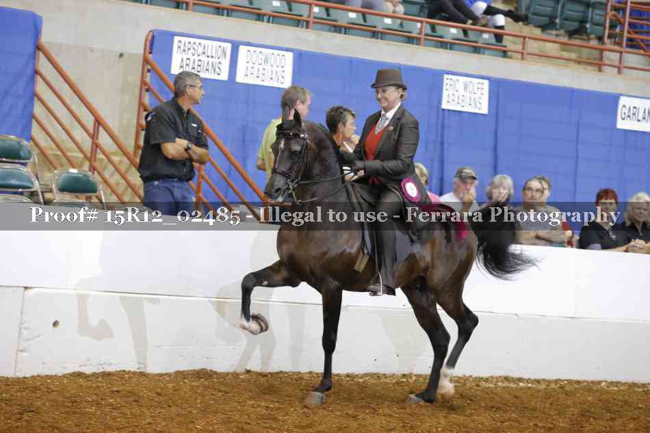 Proof Number 15R12_02485
