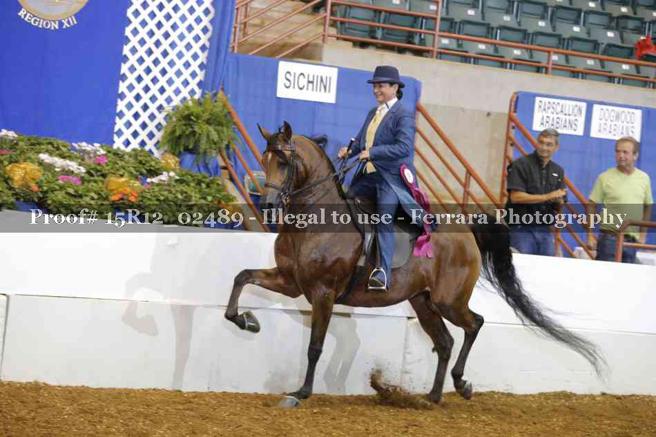 Proof Number 15R12_02489