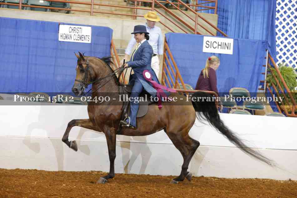 Proof Number 15R12_02490