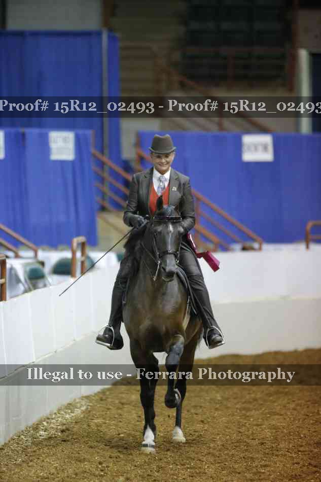 Proof Number 15R12_02493