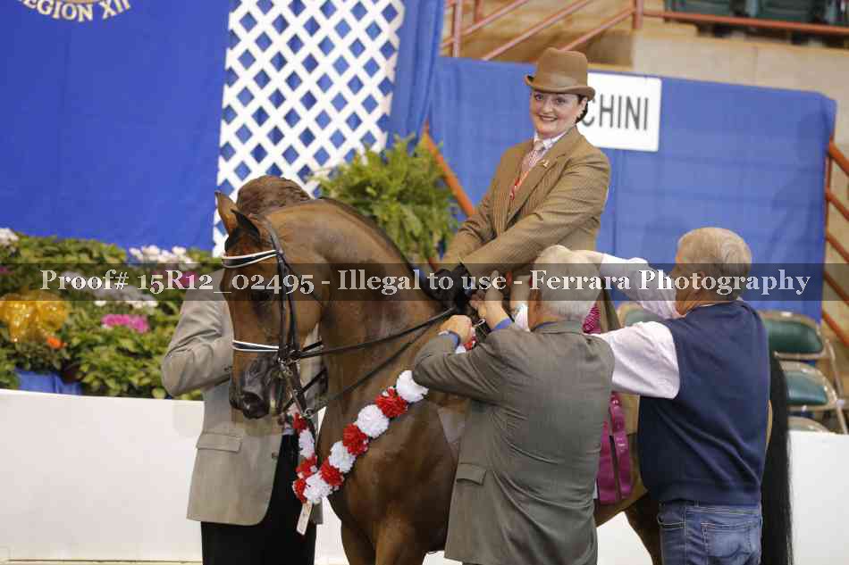 Proof Number 15R12_02495