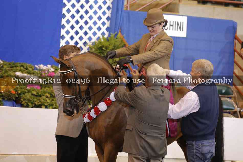 Proof Number 15R12_02496