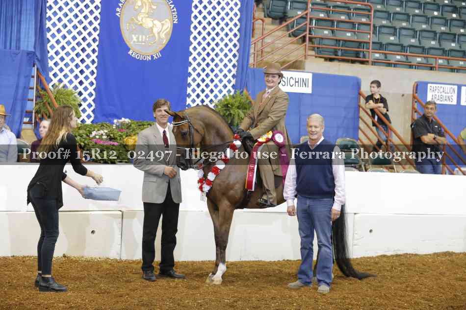Proof Number 15R12_02497