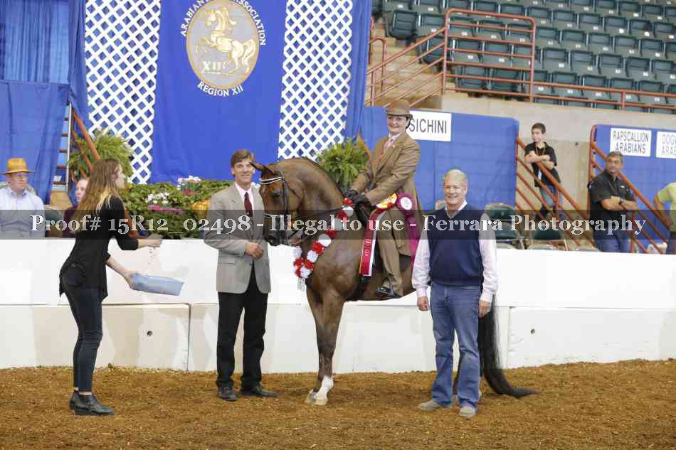 Proof Number 15R12_02498