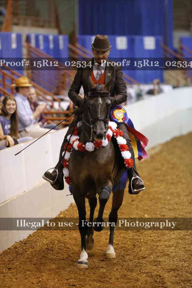Proof Number 15R12_02534