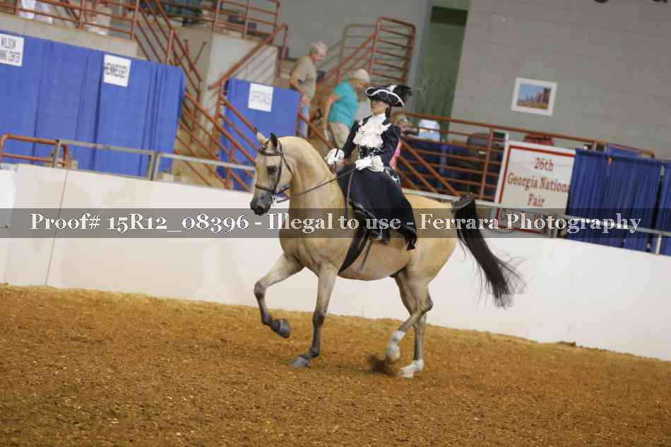 Proof Number 15R12_08396