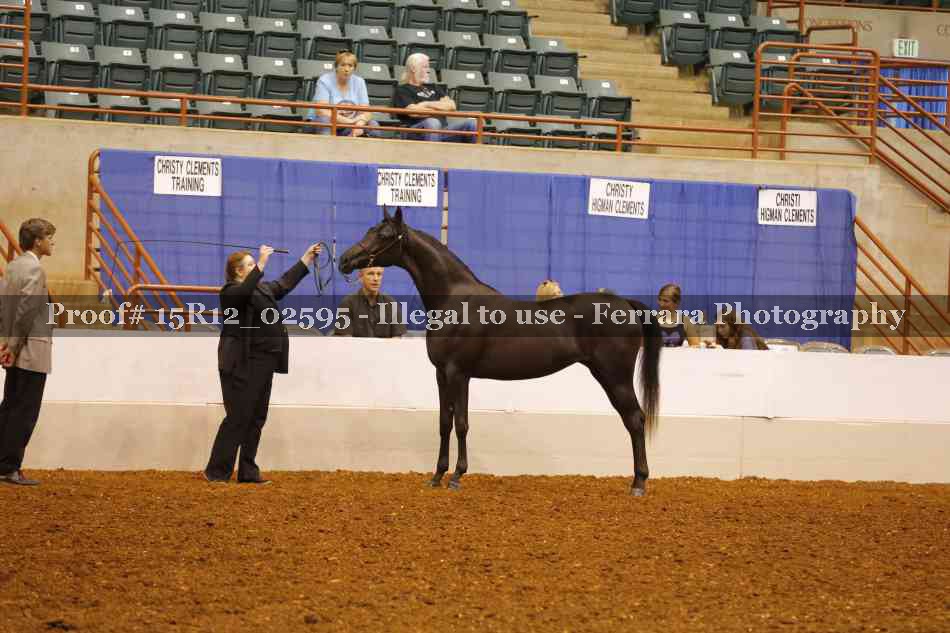Proof Number 15R12_02595