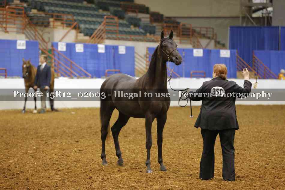 Proof Number 15R12_02603