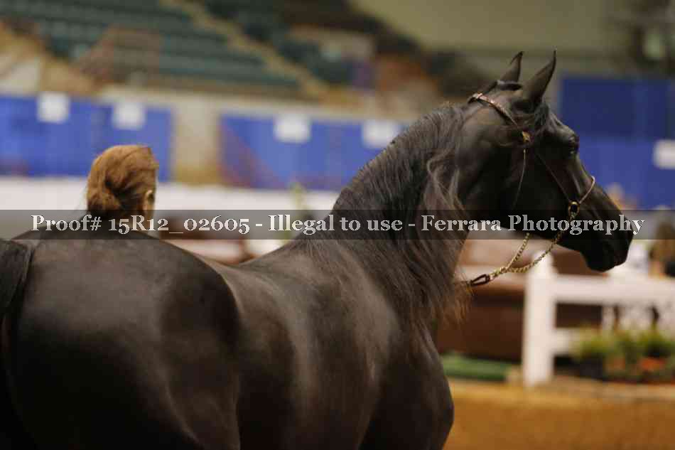 Proof Number 15R12_02605