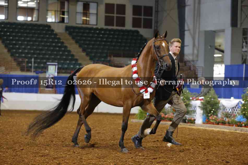 Proof Number 15R12_02626