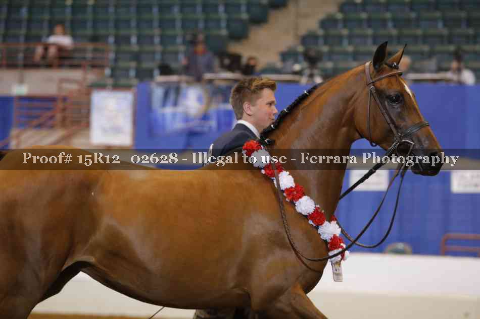 Proof Number 15R12_02628