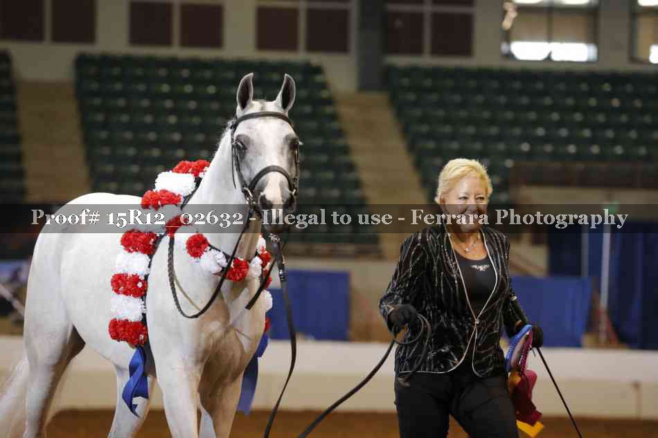 Proof Number 15R12_02632