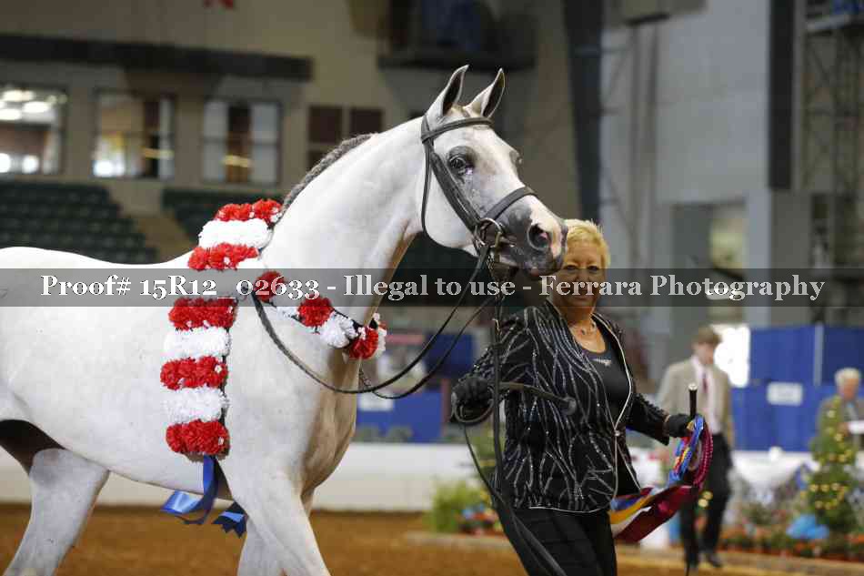 Proof Number 15R12_02633