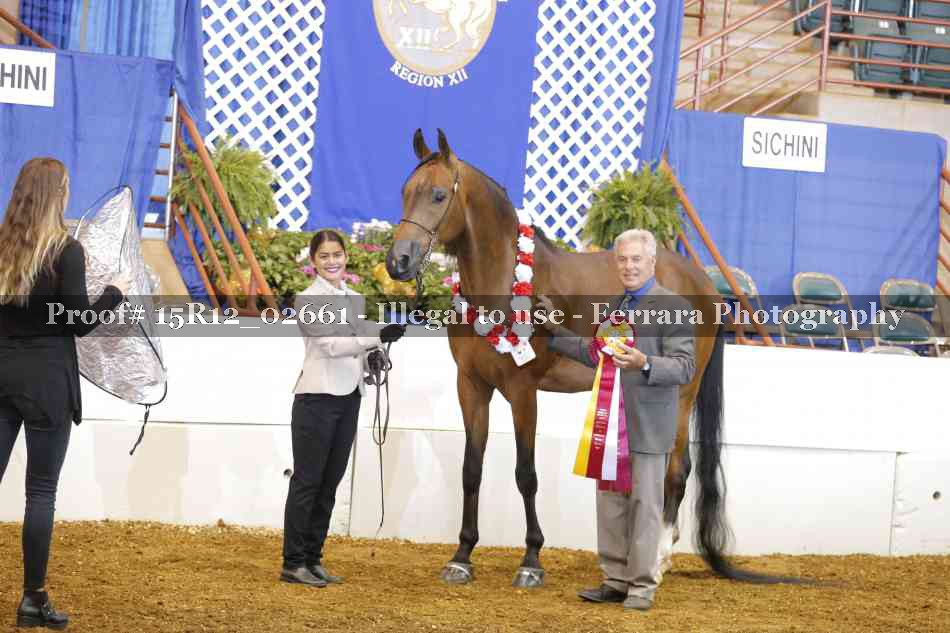 Proof Number 15R12_02661