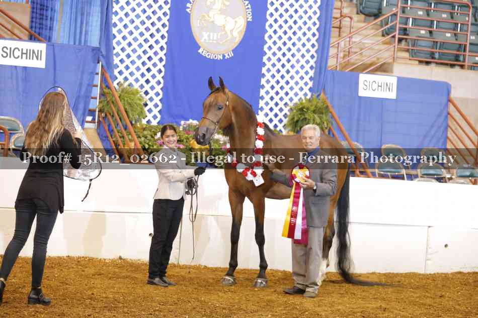 Proof Number 15R12_02662