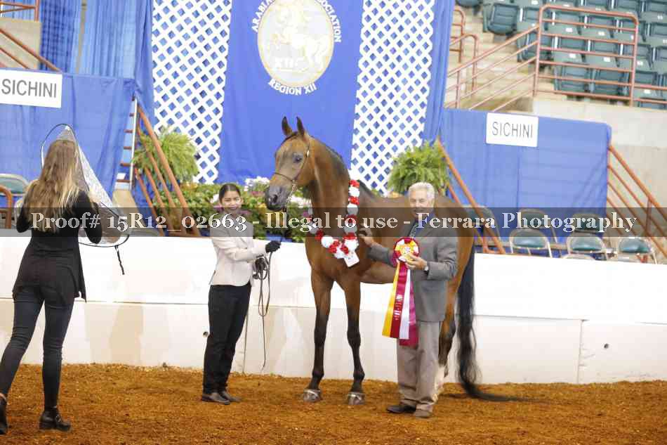 Proof Number 15R12_02663
