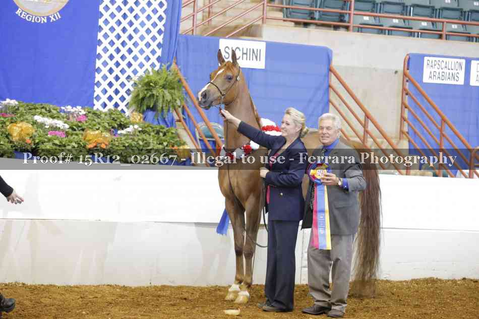 Proof Number 15R12_02667
