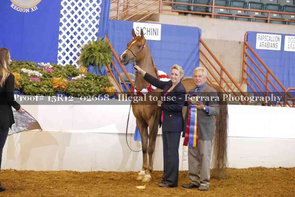 Proof Number 15R12_02668