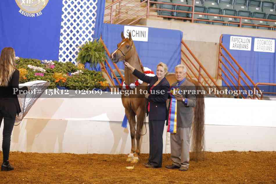 Proof Number 15R12_02669