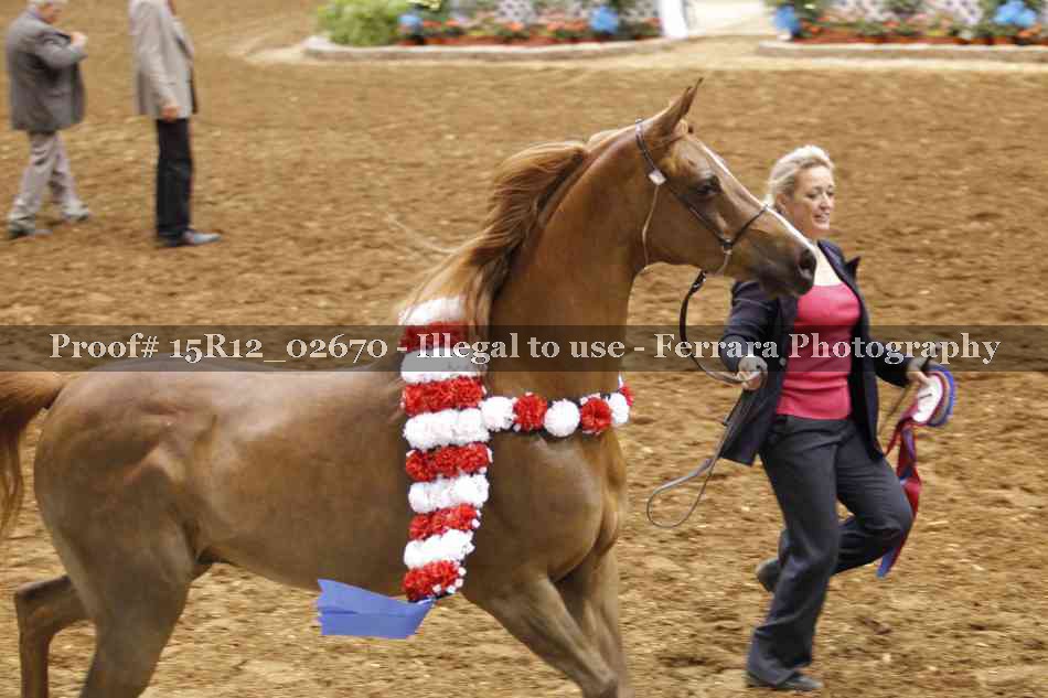 Proof Number 15R12_02670