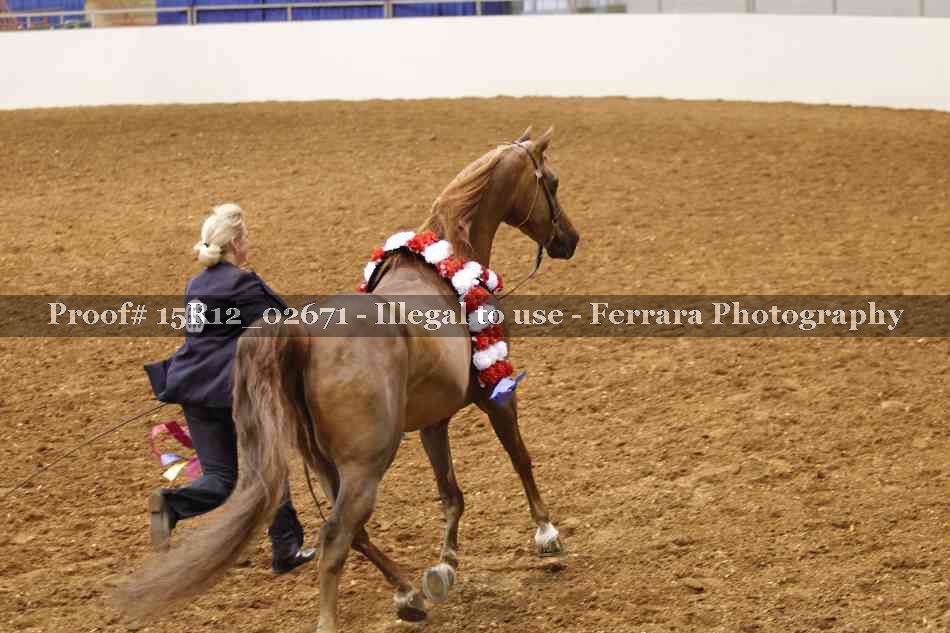 Proof Number 15R12_02671