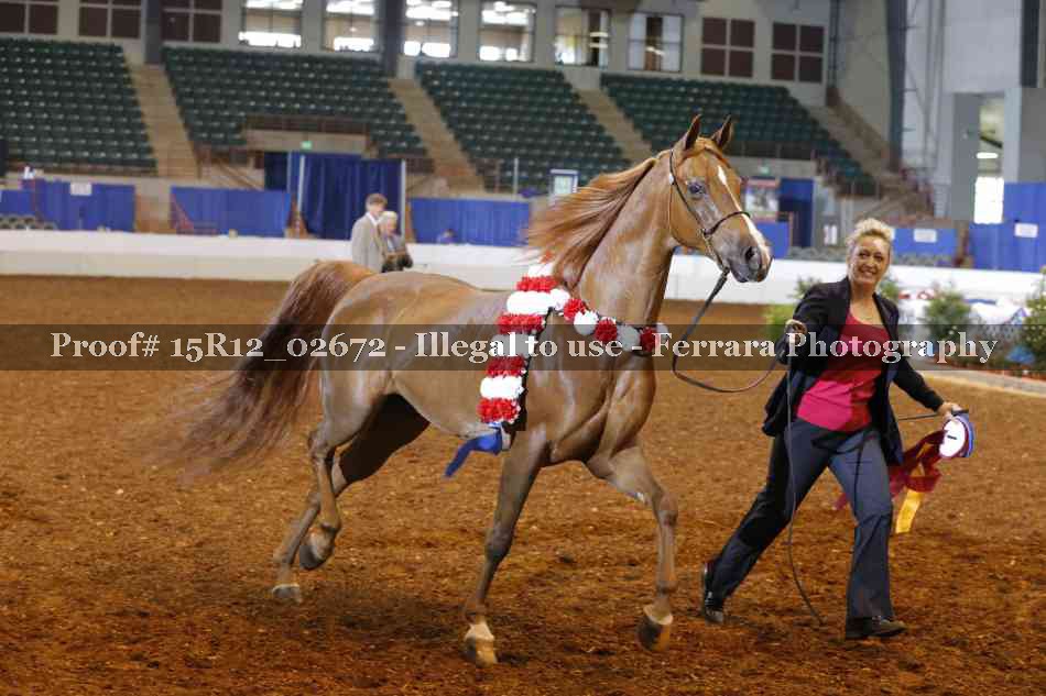 Proof Number 15R12_02672
