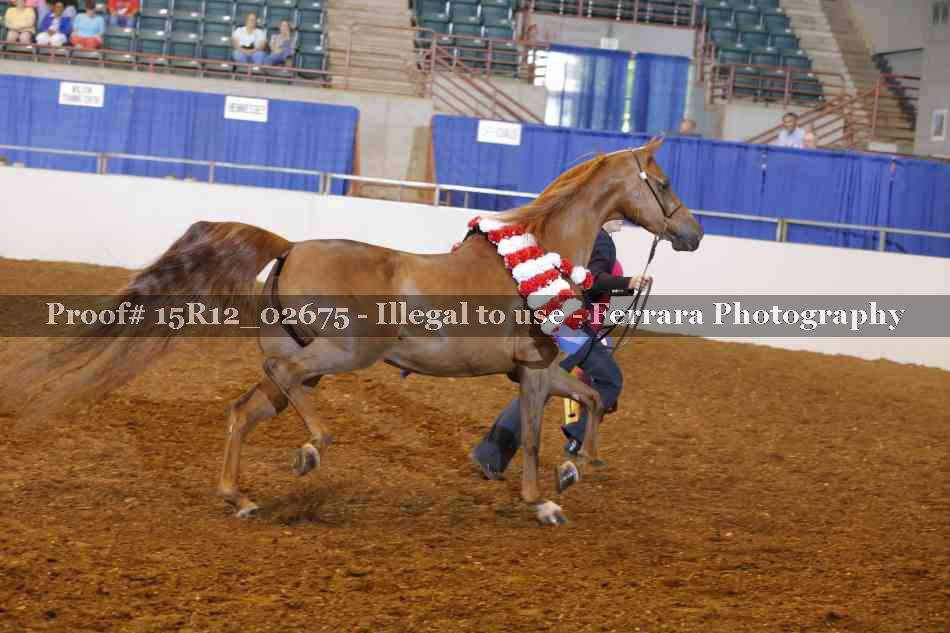 Proof Number 15R12_02675