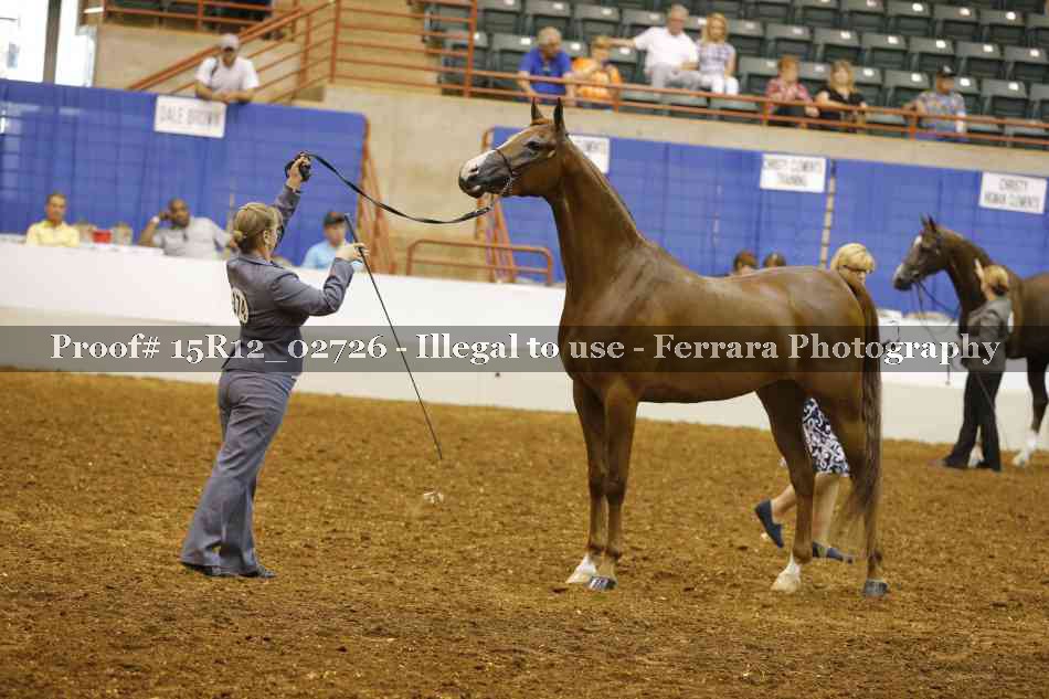 Proof Number 15R12_02726
