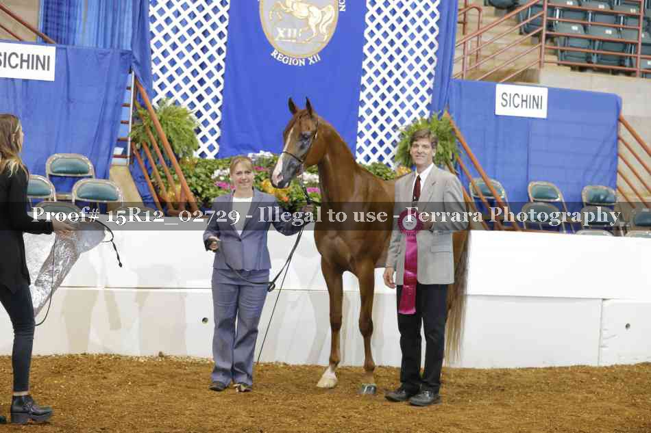 Proof Number 15R12_02729