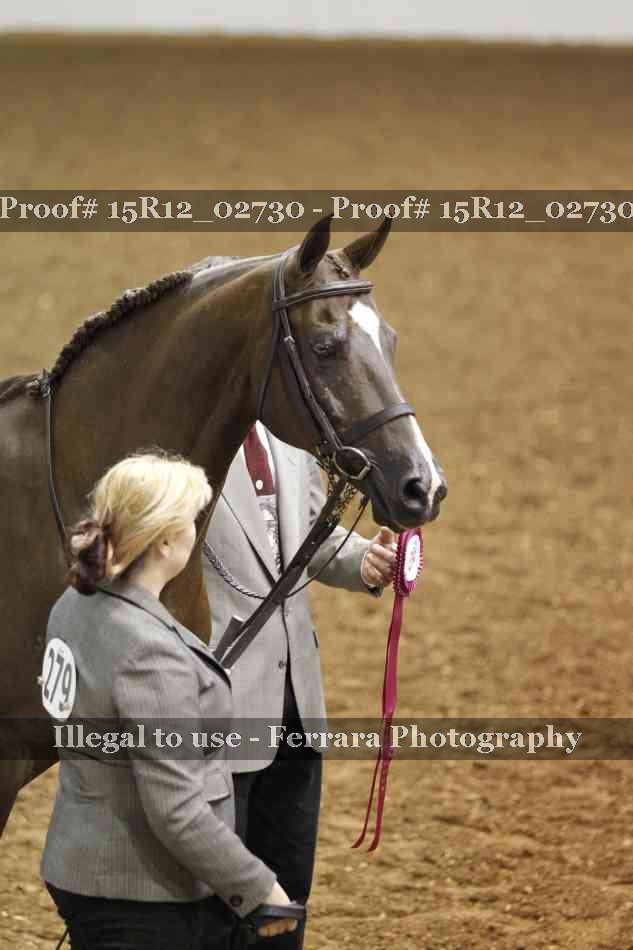 Proof Number 15R12_02730
