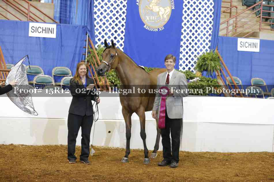 Proof Number 15R12_02735