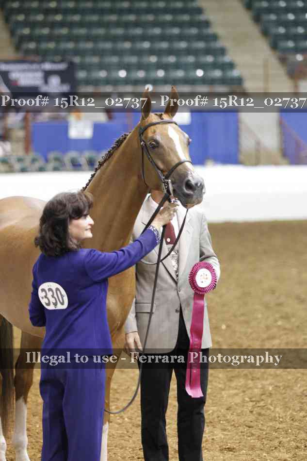 Proof Number 15R12_02737
