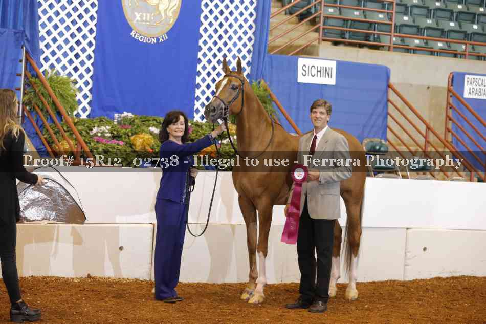 Proof Number 15R12_02738