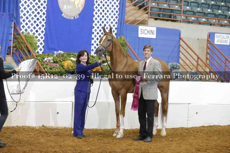 Proof Number 15R12_02739
