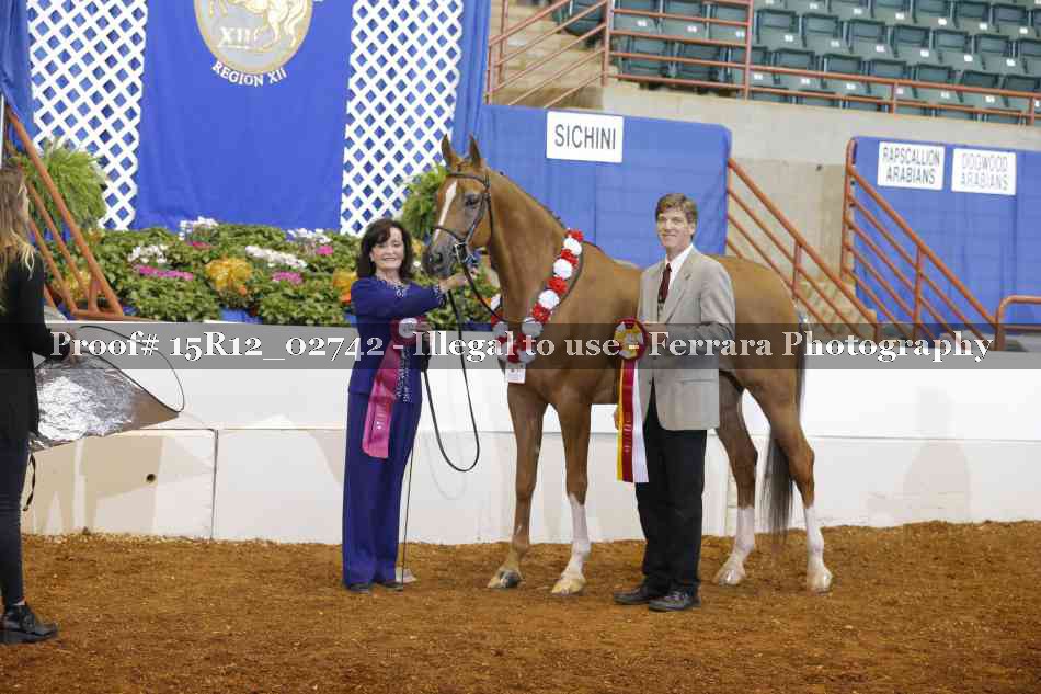 Proof Number 15R12_02742