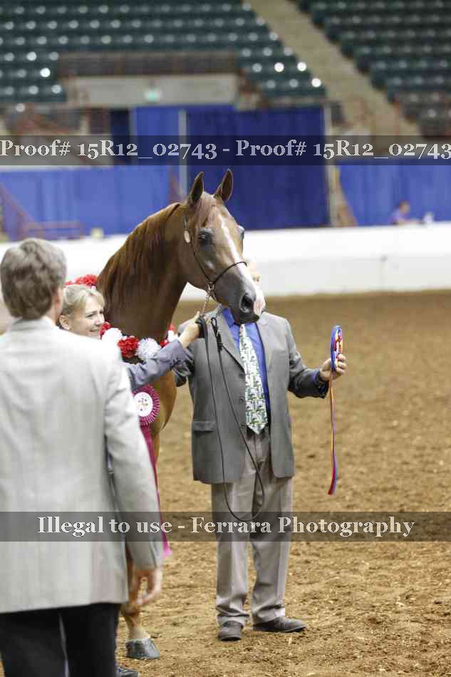 Proof Number 15R12_02743