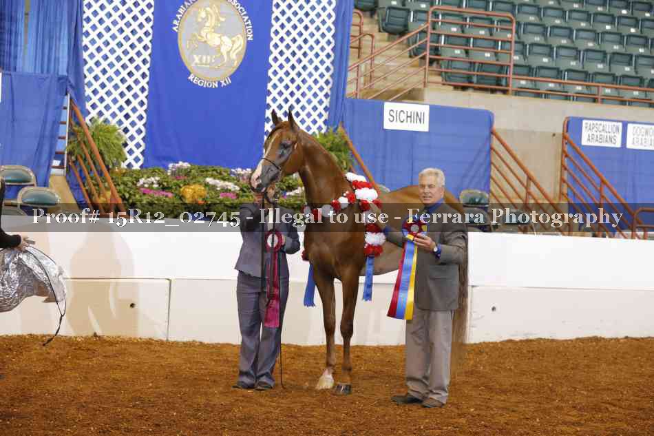 Proof Number 15R12_02745