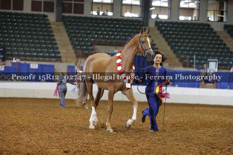 Proof Number 15R12_02747