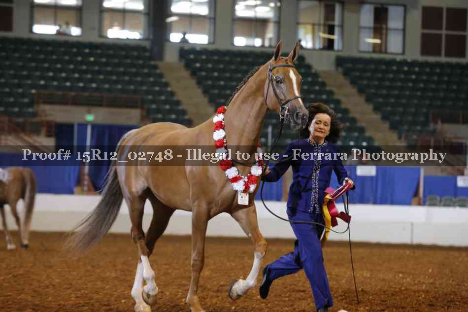 Proof Number 15R12_02748